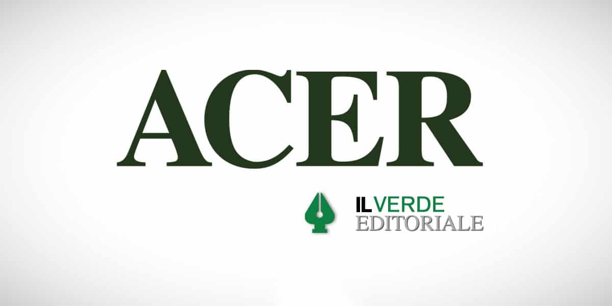 Scopri di più sull'articolo GINVE su ACER